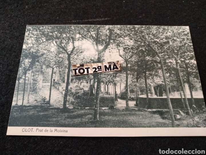 Postales: Postal Olot, prat de la moixina, Thomas - Foto 1