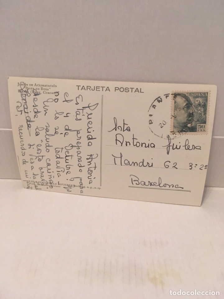 Postales: POSTAL DE PINYA DE ROSA GERONA - Foto 2