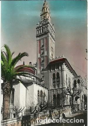 Postais: ANTIGUA POSTAL N&ordm; 14 ARBOS LA GIRALDA FOTO RAYMON D