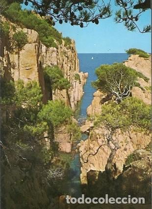Cartoline: POSTAL A COLOR N&ordm; GE 4061 COSTA BRAVA ROCAS Y PINOS