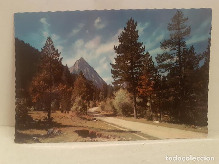 Postales: antigua postal pirineo de lerida el pallars valle de espot camino de san mauricio sin circular