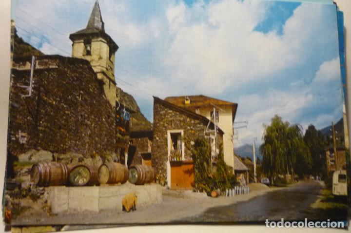 Postales: postal aynet de cardos -pirineo catalan