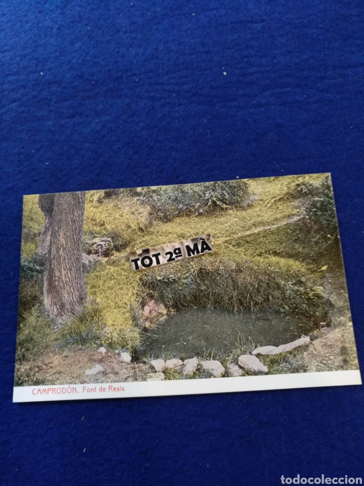 Postales: Postal camprodon, font de reals, thomas - Foto 1