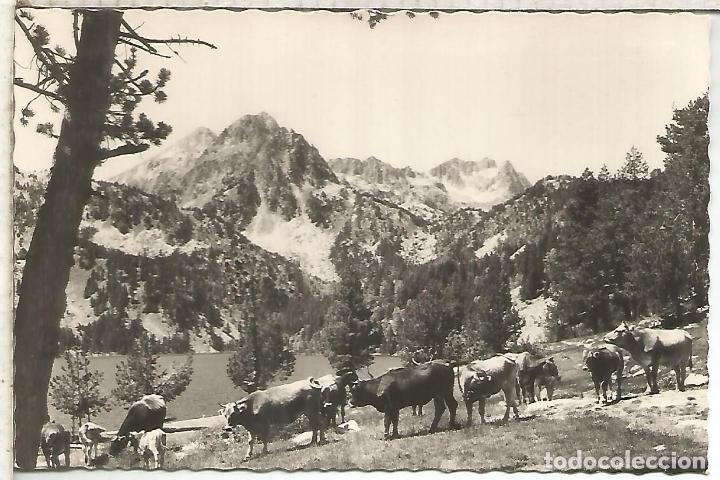 Postales: VALLE DE ESPOT LERIDA SIN ESCRIBIR