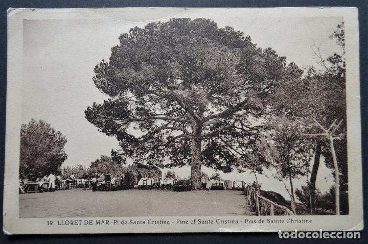 Postales: Lloret de Mar(Girona, Costa Brava), Pi de Santa Cristinal, antigua postal sin circular