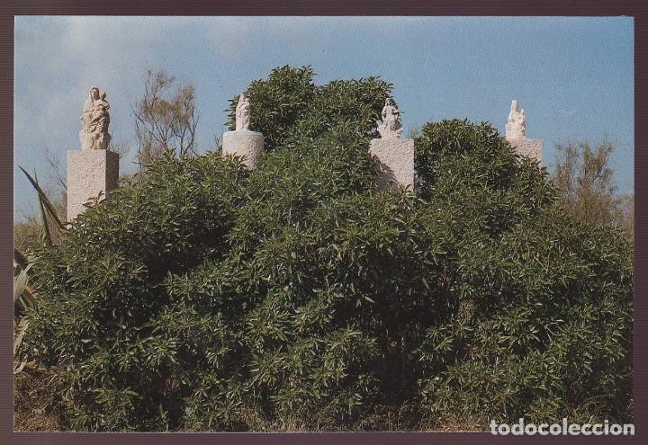 Postales: Deltebre. *Mares de Deu* Foto *Silago* Nueva.