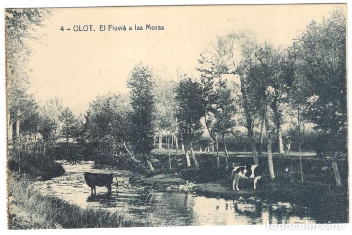 Postales: POSTAL - OLOT - EL FLUVI&Agrave; A LAS MORAS N&ordm; 4 THOMAS, SIN CIRCULAR. - Foto 1