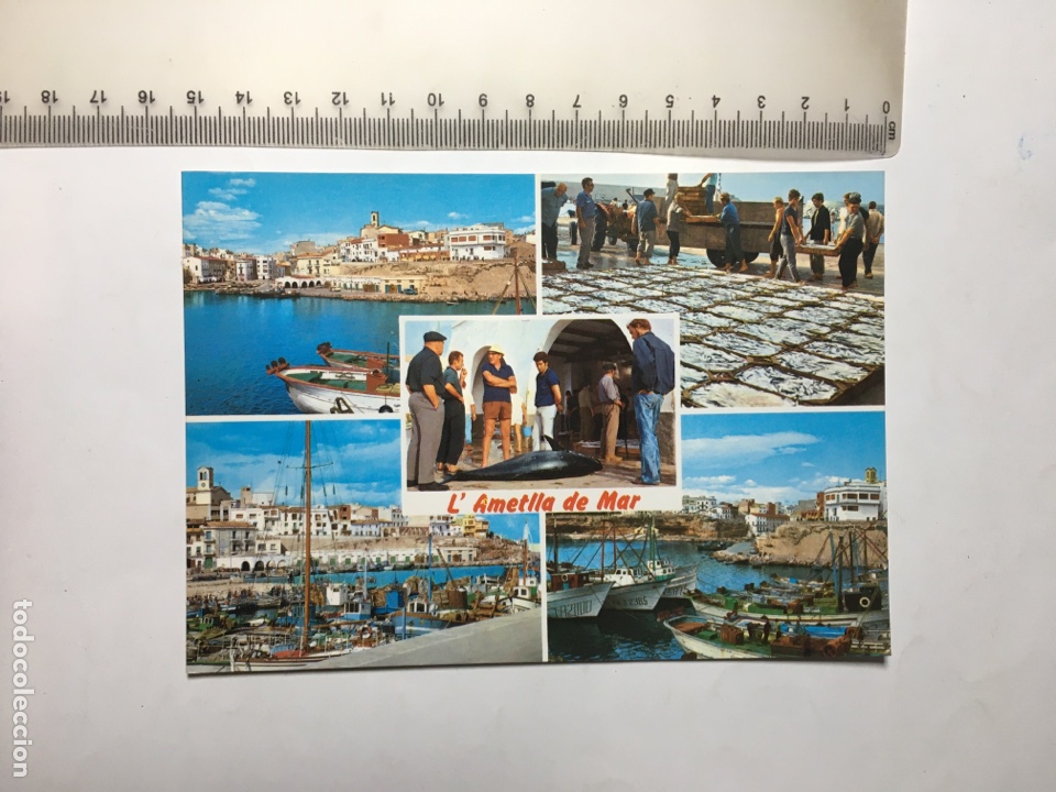 Postcards: POSTAL. L&rsquo; AMETLLA DE MAR. DIVERSOS ASPECTOS. FOTO COLOR RAYMOND.