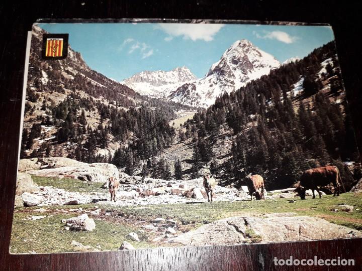 Postales: N&ordm; 38995 POSTAL VALL DE BOHI PIRINEO CATALAN LERIDA