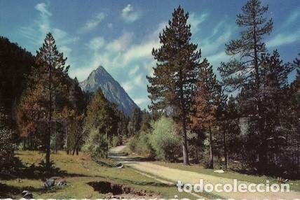 Postales: POSTAL A COLOR 5021 PIRINEOS DE LERIDA EL PALLARS VALLE DE ESPOT CAMINO DE SAN MAURICIO