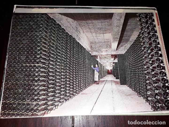 Postales: N&ordm; 39372 POSTAL CAVAS CODORNIU BOTELLAS ENVEJECIENDO