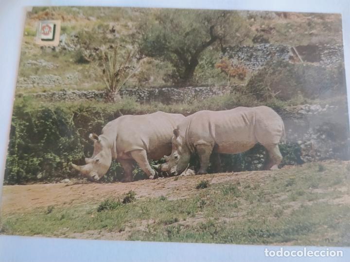 Postales: RIO LEON SAFARI TARRAGONA