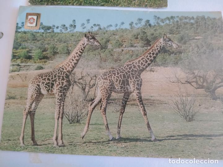 Postales: RIO LEON SAFARI TARRAGONA