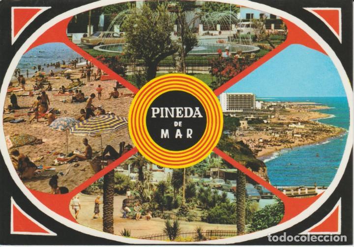 Postales: (1771) PINEDA DE MAR - Foto 1