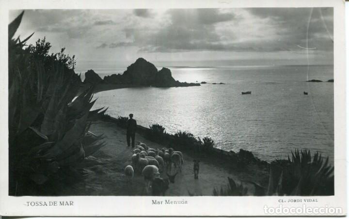 Postales: TOSSA DE MAR-MAR MENUDA -PASTOR CON SU REBA&Ntilde;O DE OVEJAS-FOTOGR&Aacute;FICA J. VIDAL-1941
