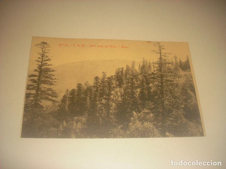 Postkarten: SANT JOAN DE L'ERM N. 15 . BOSC.THOMAS, SIN CIRCULAR.