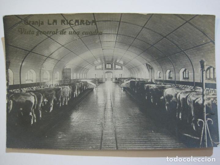 Postais: GRANJA LA RICARDA-VISTA GENERAL DE UNA CUADRA-FOTOGRAFICA-POSTAL ANTIGUA-(75.754)