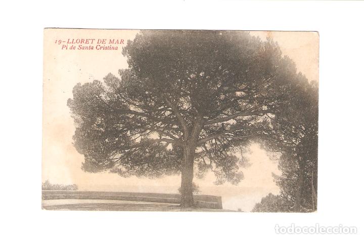 Postales: 1 postal de lloret de mar pi de santa cristina 1912