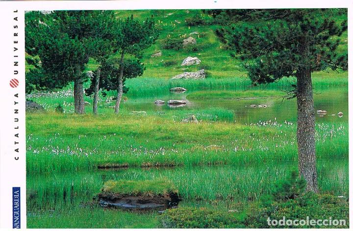 Postales: parque nacional de Aiguestortes en primavera