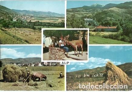 Postales: POSTAL A COLOR SERIE II NUM 50090 ALP PIRINEOS ORIENTALES 1969