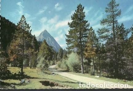 Postales: POSTAL A COLOR 5021 PIRINEOS DE LERIDA EL PALLARS VALLE DE ESPOT CAMINO DE SAN MAURICIO
