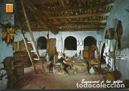 Postais: POSTAL A COLOR N&ordm; 1881 CATALUNYA TIPICA ESGRANANT A LES GOLFES
