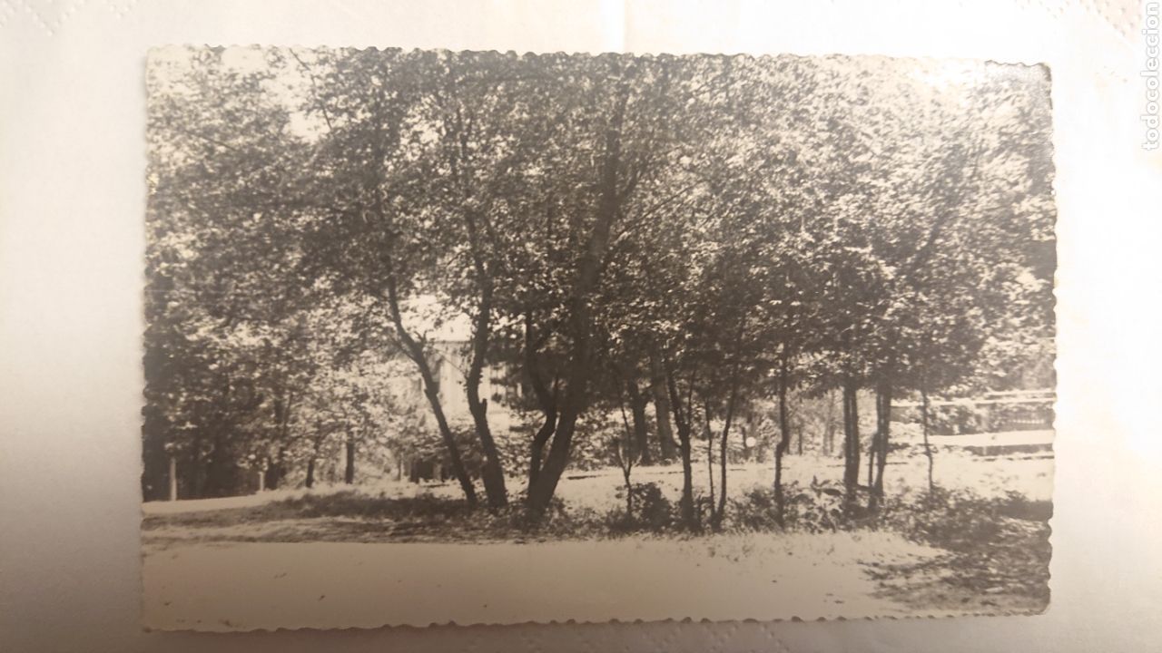 Postales: POSTAL DE AMER FONT PICANT - Foto 1