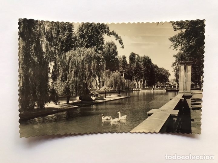 Postales: LERIDA Postal No.5, Campos El&iacute;seos. Estanque, Edic., Garcia Garrabella (a.1956) dedicada...