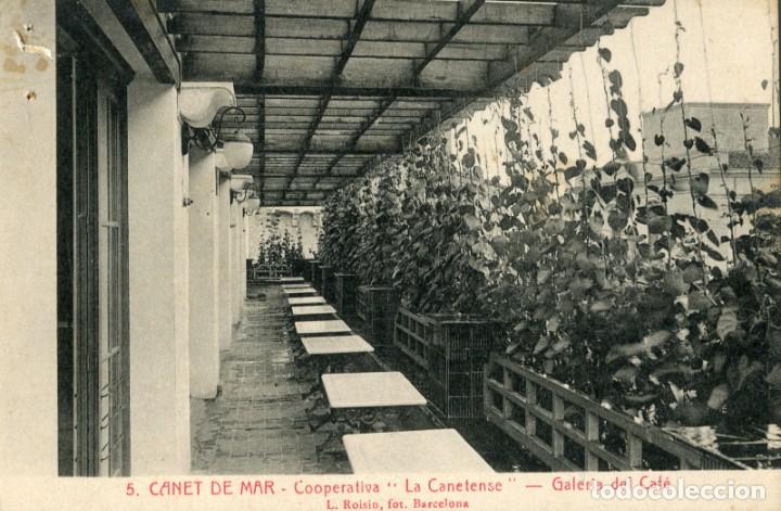 Cartoline: a03842 Canet De Mar Cooperativa La Canetense Galeria Del Cafe Roisin N&ordm;5