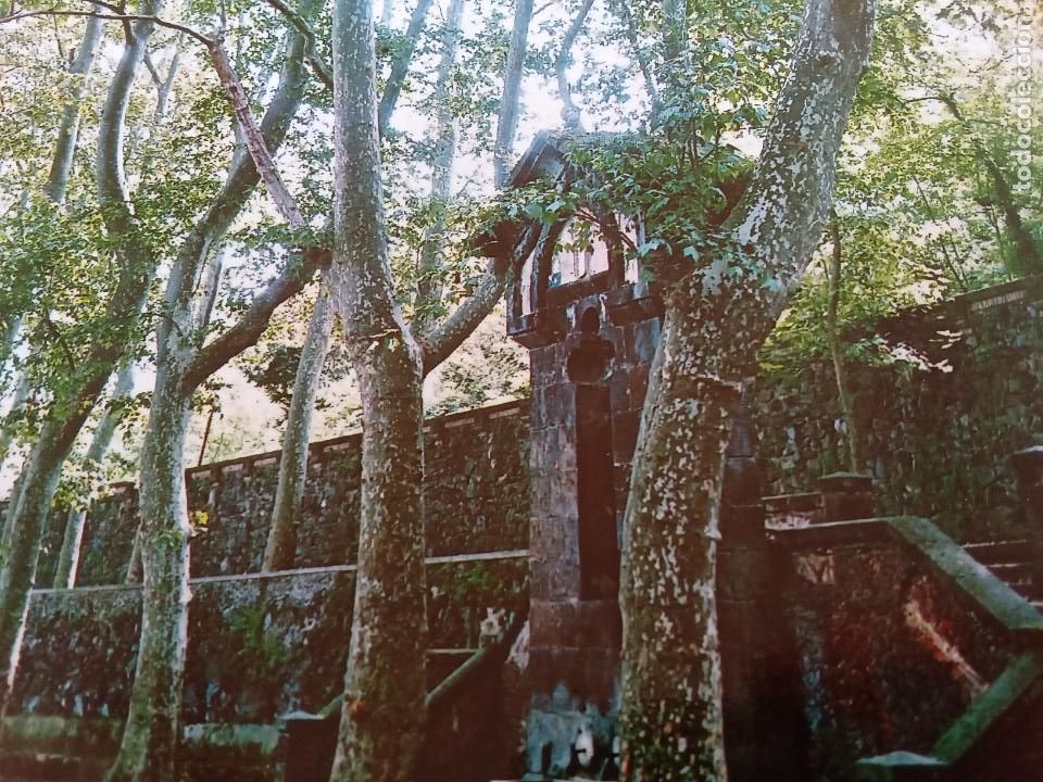 Postales: Olot.Font de San Roc. - Foto 2