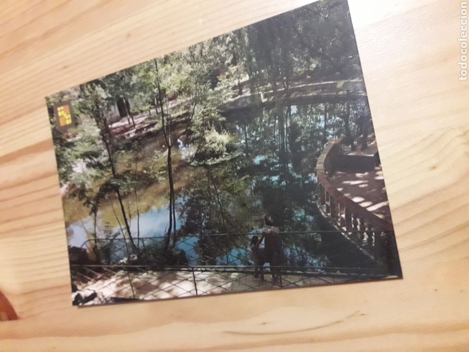 Postales: Moi&agrave; Parc Municipal Estany - Foto 1