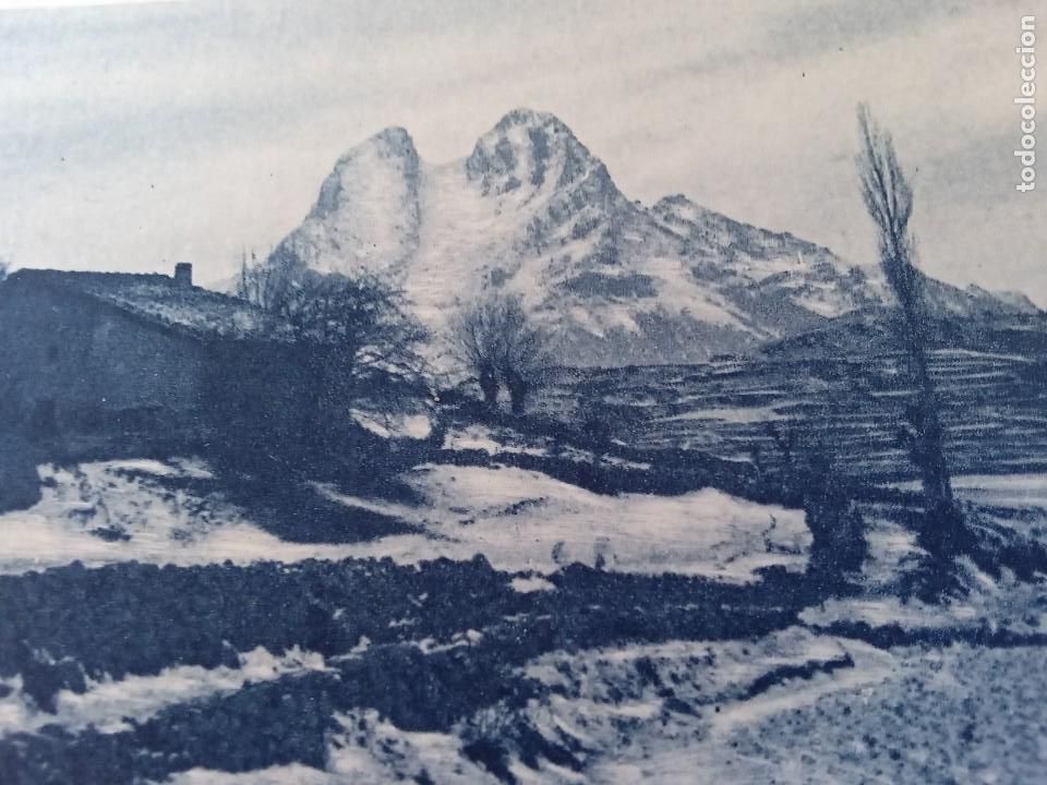 Postales: Saldes.Cinc postals. - Foto 4