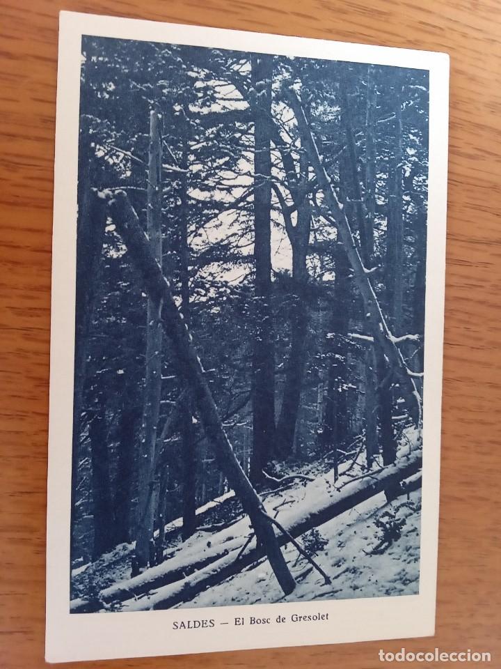Postales: Saldes.Cinc postals. - Foto 7