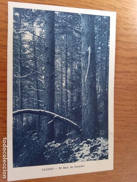 Postales: Saldes.Cinc postals. - Foto 9