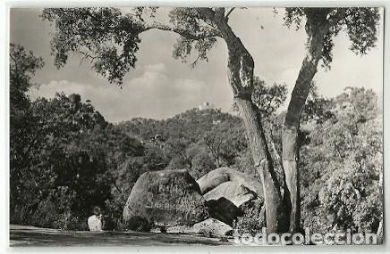 Postales: ANTIGUA POSTAL SANTA COLOMA DE FARNES CAMINO DE FARNES EDICIONES FOTOGRAFICAS BOSCH 1953
