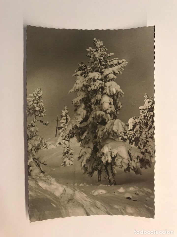 Postales: VALLE DE ARAN (Lerida) Postal No.298, Tema Navide&ntilde;o, Edic., Oficina de Turismo ... (h.1950?)