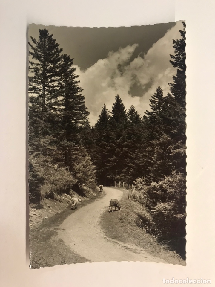 Postales: VALLE DE ARAN (Lerida) Postal No.357, Carretera de acceso al Portillon.