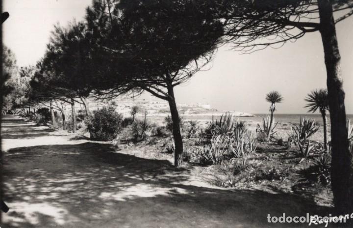Postales: altafulla. 14 la playa. raymond - Foto 1