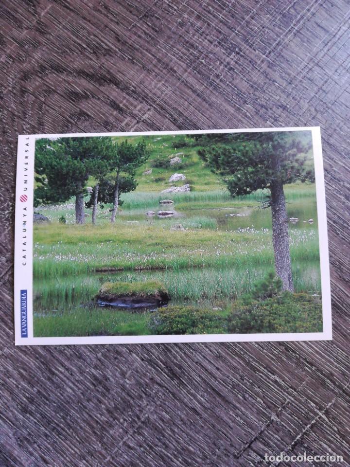 Postales: Postal N&deg; 11 vanguardia parque nacional aiguestortes y sant Maurici