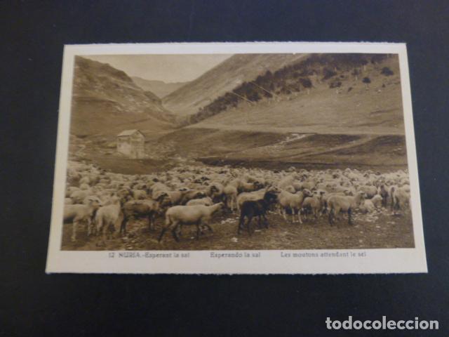 Postales: NURIA GERONA ESPERANDO LA SAL - Foto 1