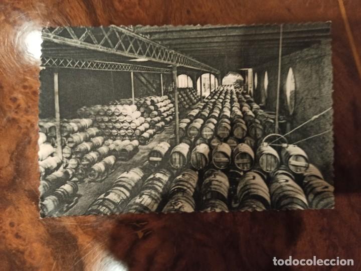 Postales: Codorn&iacute;u San Sadurn&iacute; de Noya - Foto 1