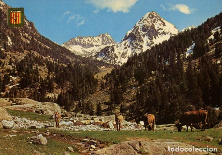 Postales: m00436 Vall De Boi Parque Nacional De Aiguestortes 1964 Escudo De Oro N&ordm;27 sc