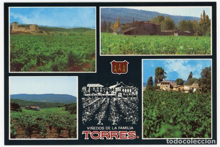 Cartoline: m00758 Vilafranca del Penedes Vi&ntilde;edos de la familia Torres sc