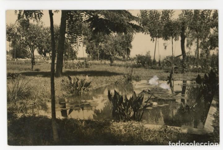 Postcards: a06480 masnou albergue rosellon jardin torres circulada