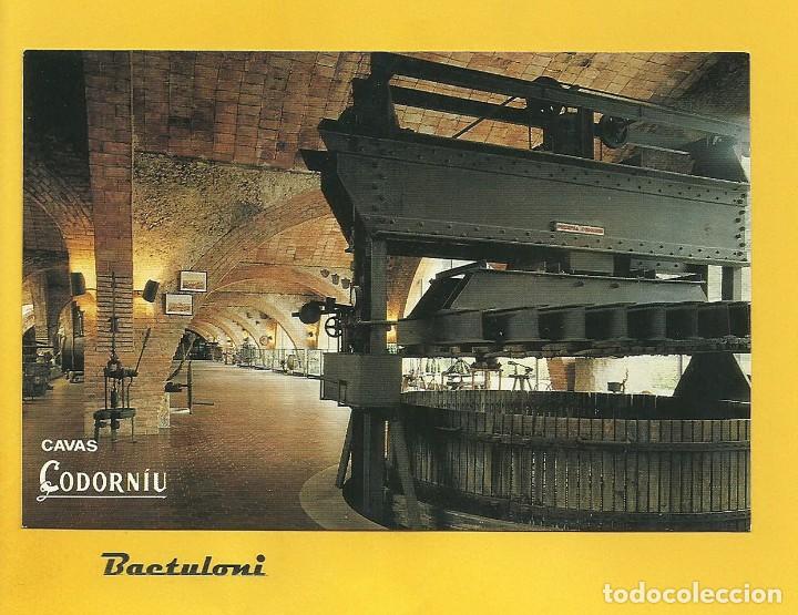 Postales: Sant Sadurn&iacute; dAnoia. Cavas Codorniu. Museo - Foto 1