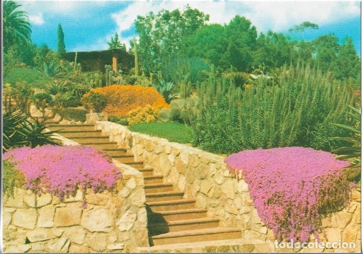 Postales: POSTAL BLANES (GERONA) - SIN CIRCULAR - Foto 1