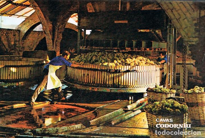 Postales: San Sadurni de Noya, Cavas Codorniu. Prensado de la uva