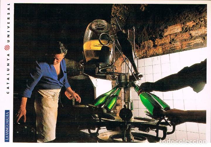 Postales: San Sadurni de Noya, Cavas Codorniu. vista general