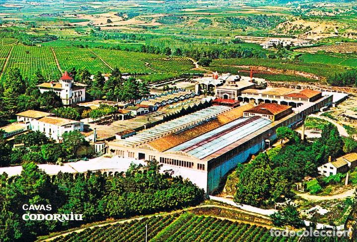 Postales: San Sadurni de Noya, Cavas Codorniu. vista general
