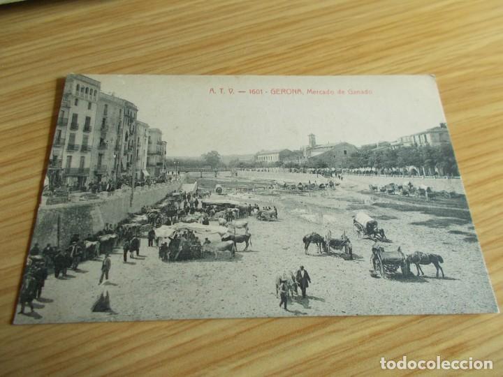Postales: GERONA -- MERCADO DE GANADO - Foto 1